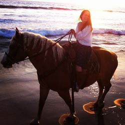 Horseback Sunset Beach Ride