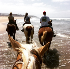 San Diego's Best Horseback Beach Rides