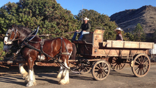 Antique Hitch Wagon for rent