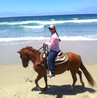 Ride a horse on the beach!