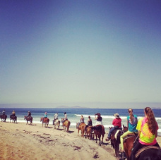 San Diego Beach Horseback Riding